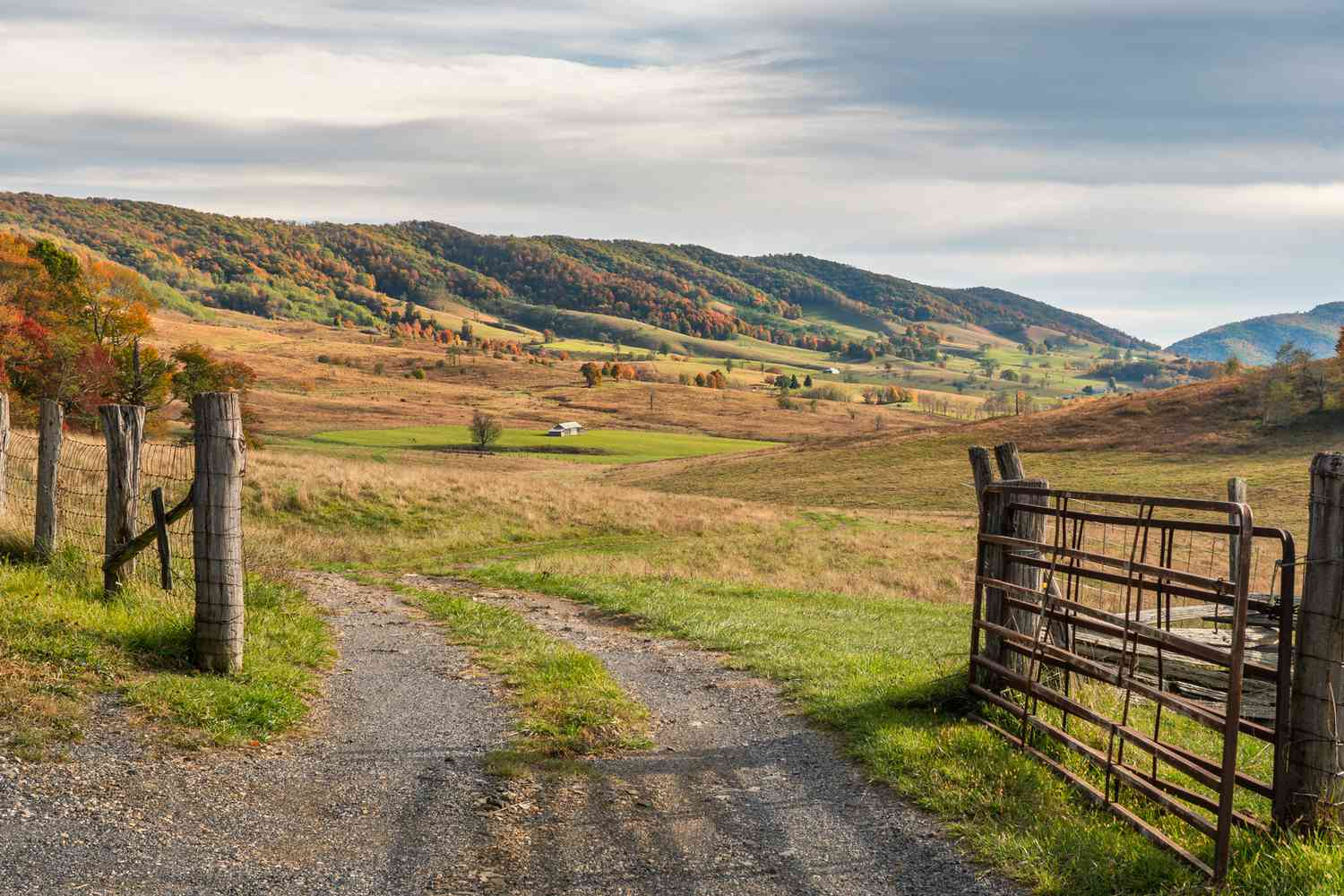 Virginia countryside road with fall foliage and open fields under soft afternoon light.
